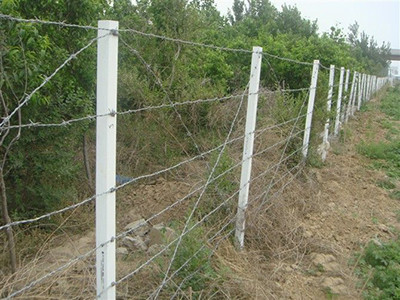 圈山圈地护栏网图片2